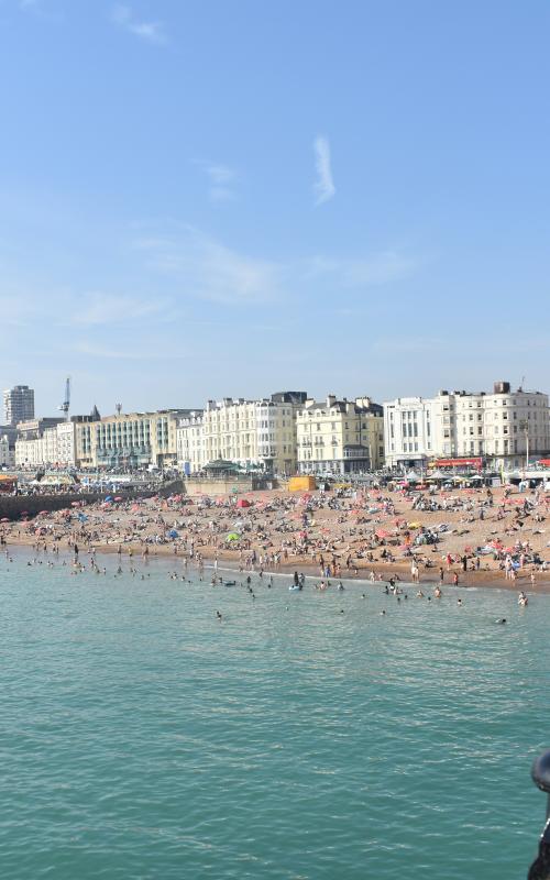 Brighton seafront from the pier with a seagull in focus