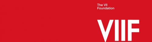 VIIF logo banner