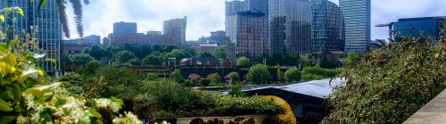 Skyline from red bank, Manchester